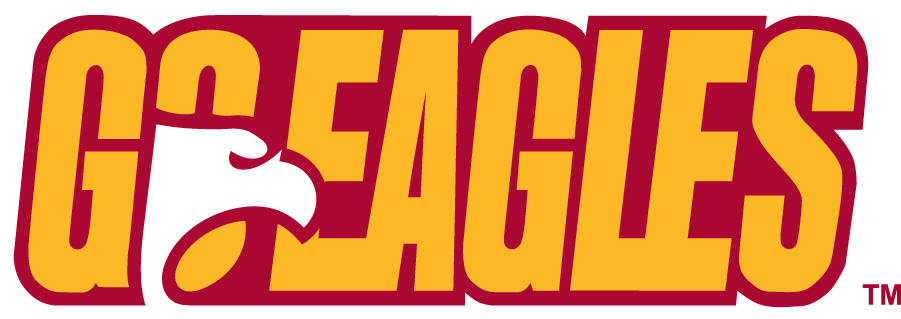 Winthrop Eagles 1995-2017 Alternate Logo t shirts iron on transfers